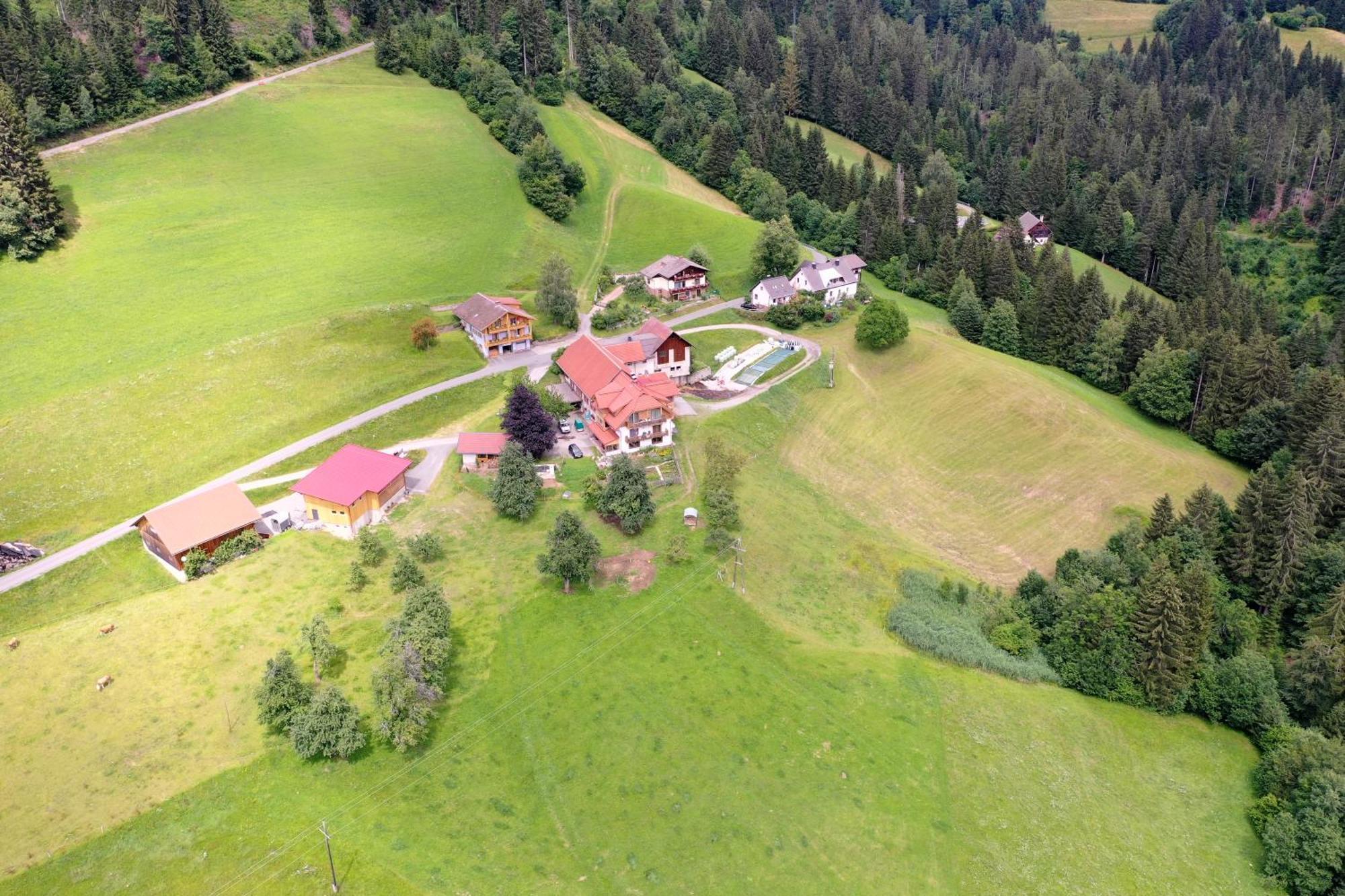 Bergbauernhof Schluder Apartment Hermagor-Pressegger See Exterior photo